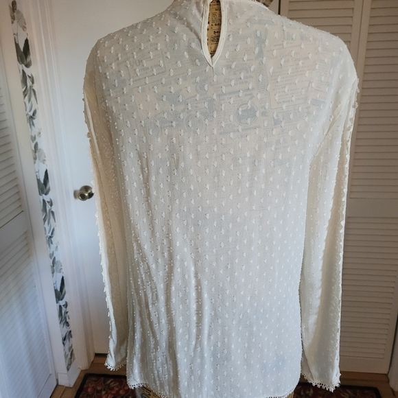 Zara Cream Ivory Swiss Dot Sheer Lace Blouse Tunic Sz M - Picture 8 of 9